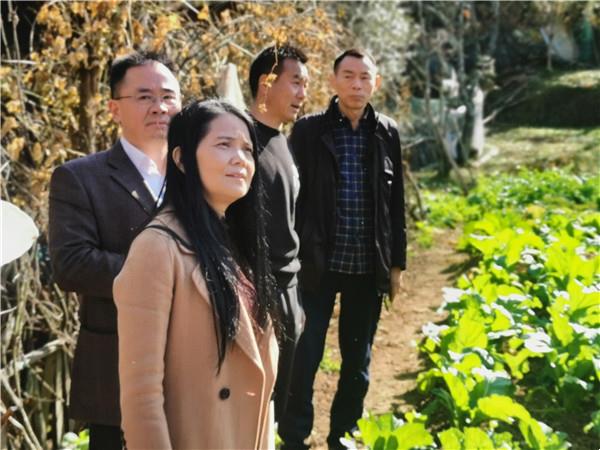 0acf43b3df234ca49facb80398413a36.jpg 0acf43b3df234ca49facb80398413a36.jpg