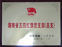 2013年共青團(tuán)湖南省委員會(huì)授牌