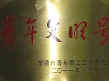 2011年常德市青年職工工作委員會(huì)授牌