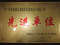 2011年武陵區(qū)人力資源和社會(huì)保障局授牌