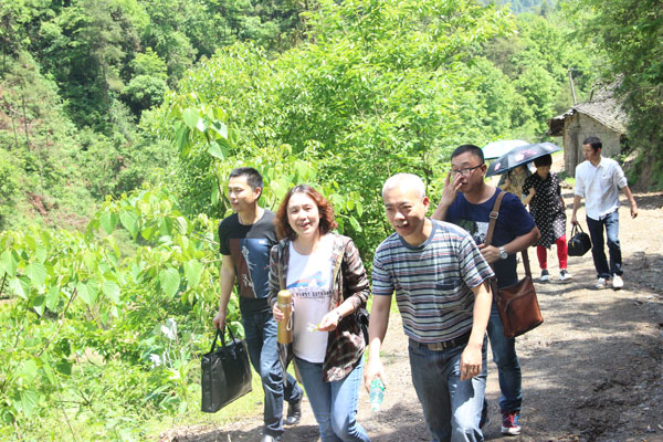 IMG_2503.jpg IMG_2503.jpg