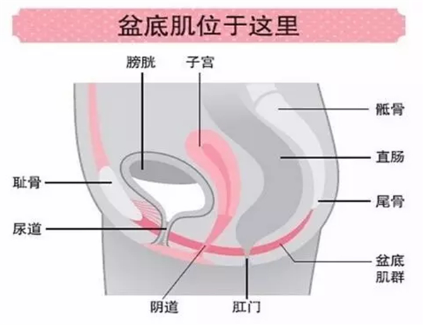 圖一3.jpg 圖一3.jpg