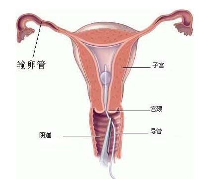 image003.jpg image003.jpg