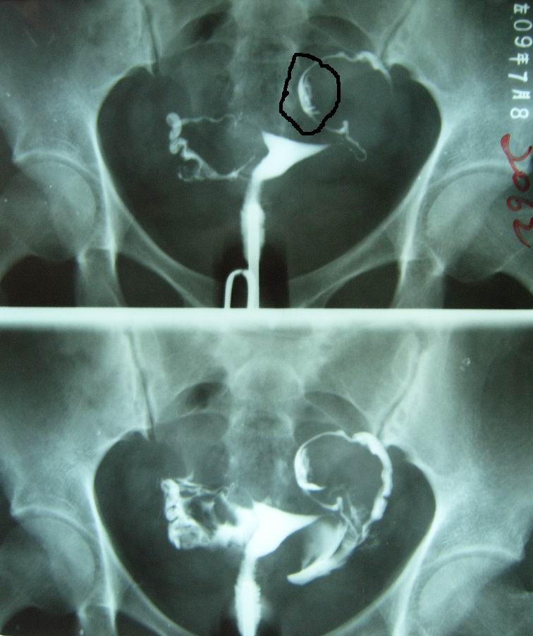 image009.jpg image009.jpg