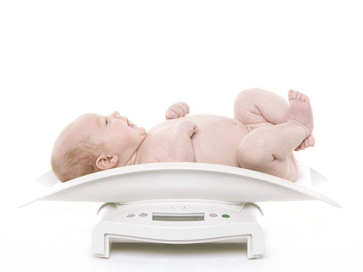 timg (2).jpg timg (2).jpg