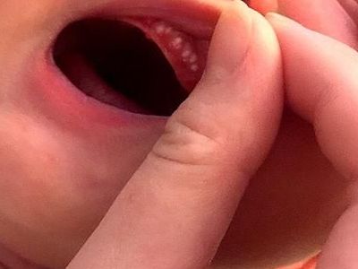 timg (1).jpg timg (1).jpg