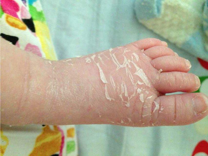 timg (3).jpg timg (3).jpg