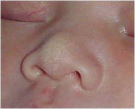 圖片4.jpg 圖片4.jpg