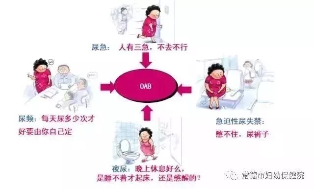 3333333.webp.jpg 3333333.webp.jpg