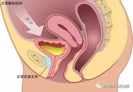 444444.webp.jpg 444444.webp.jpg