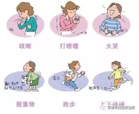 666666.webp.jpg 666666.webp.jpg