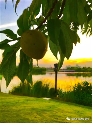 微信圖片_20190515112931.jpg 微信圖片_20190515112931.jpg