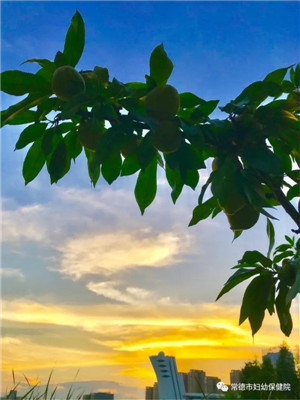 微信圖片_20190515113003.jpg 微信圖片_20190515113003.jpg