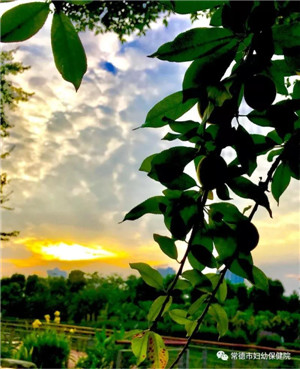 微信圖片_20190515113008.jpg 微信圖片_20190515113008.jpg