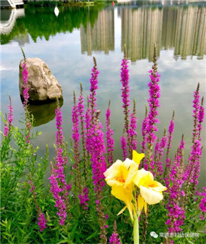 微信圖片_20190515113015.jpg 微信圖片_20190515113015.jpg