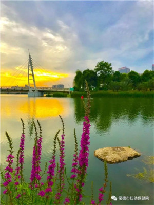 微信圖片_20190515113038.jpg 微信圖片_20190515113038.jpg