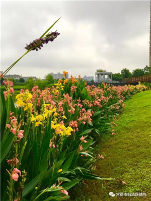 微信圖片_20190515113055.jpg 微信圖片_20190515113055.jpg