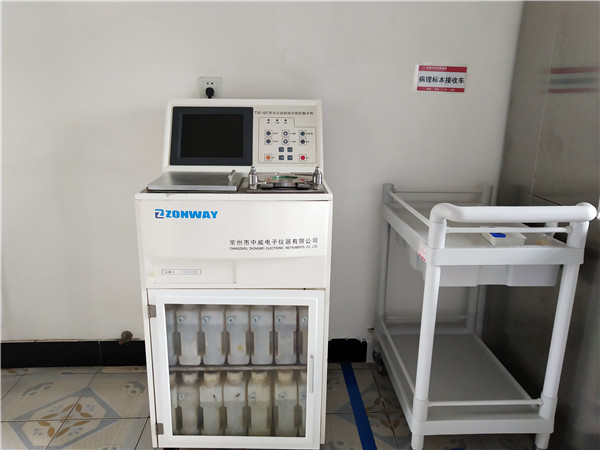 IMG_20191113_113110.jpg IMG_20191113_113110.jpg