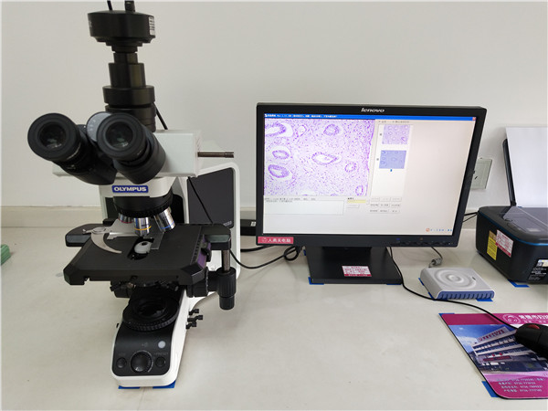 IMG_20191113_112855.jpg IMG_20191113_112855.jpg