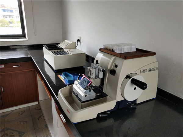 IMG_20191113_112944.jpg IMG_20191113_112944.jpg