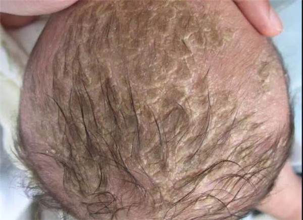 微信圖片_20200120101041.jpg 微信圖片_20200120101041.jpg