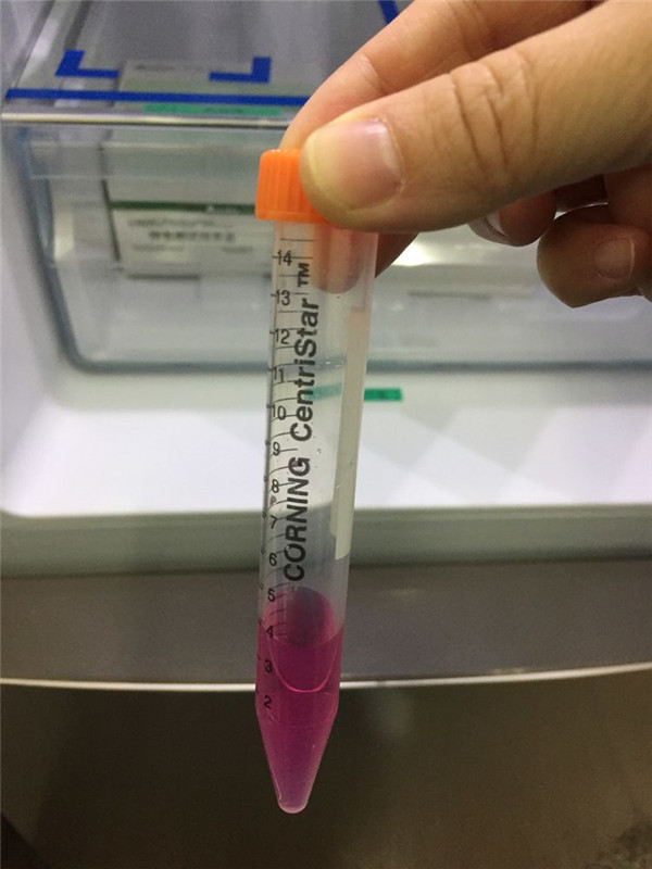 微信圖片_20200120100526.jpg 微信圖片_20200120100526.jpg