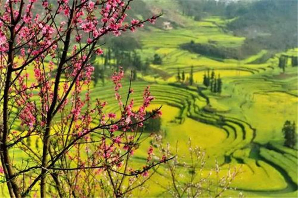 微信圖片_20200313105212.jpg 微信圖片_20200313105212.jpg